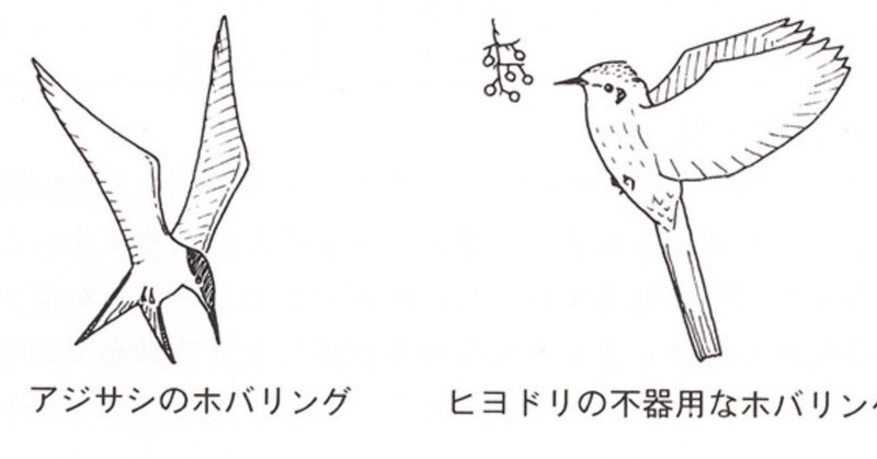 第540回 野鳥のホバリング 翆野 大地 Note 第540回 野鳥のホバリング 翆野 大地 Note