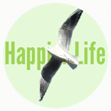 mika happierlife | 日々の生活を豊かにするブログ
