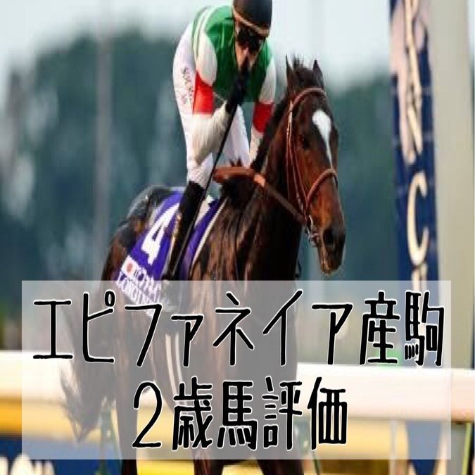 POG2024 ドラフト馬評価【エピファネイア産駒・24頭】｜POGタロー