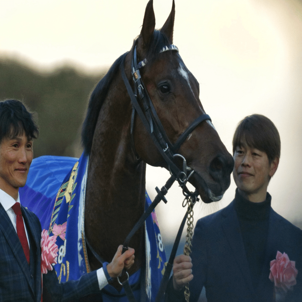 宝塚記念】ウマ娘スキのなれ果て競走馬ファンな筆者の、宝塚記念