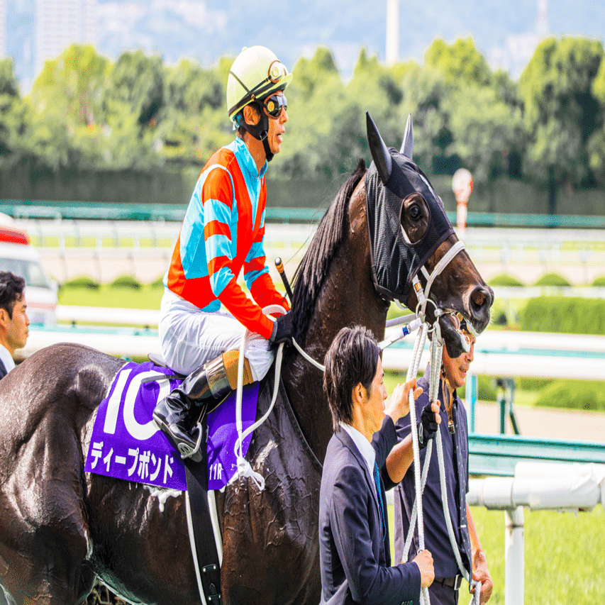 宝塚記念】ウマ娘スキのなれ果て競走馬ファンな筆者の、宝塚記念