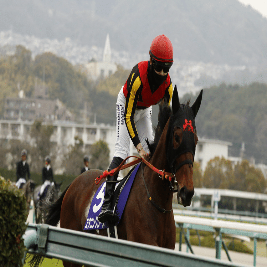 宝塚記念】ウマ娘スキのなれ果て競走馬ファンな筆者の、宝塚記念