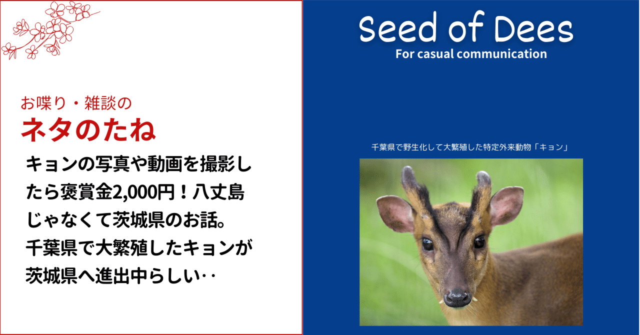 特定外来生物「キョン」の写真や動画を撮影して届け出たら褒賞金2