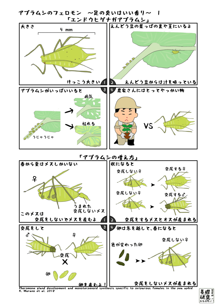 かわいせーざん 基礎研究っておもしろい 生物編の19年9月のノート Note