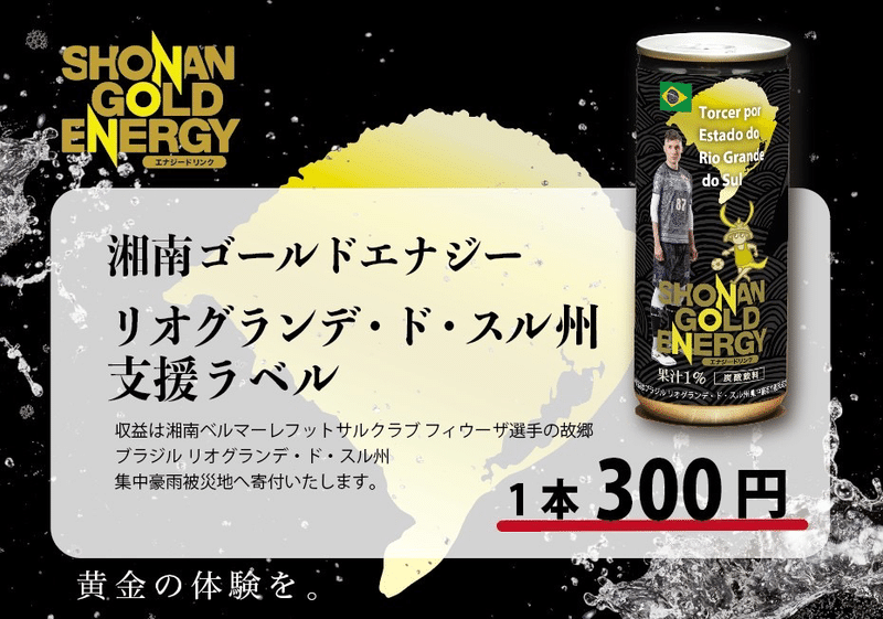 豪雨後のリオグランデ・ド・スル州で2億3000万年以上前の恐竜の化石が見つかる