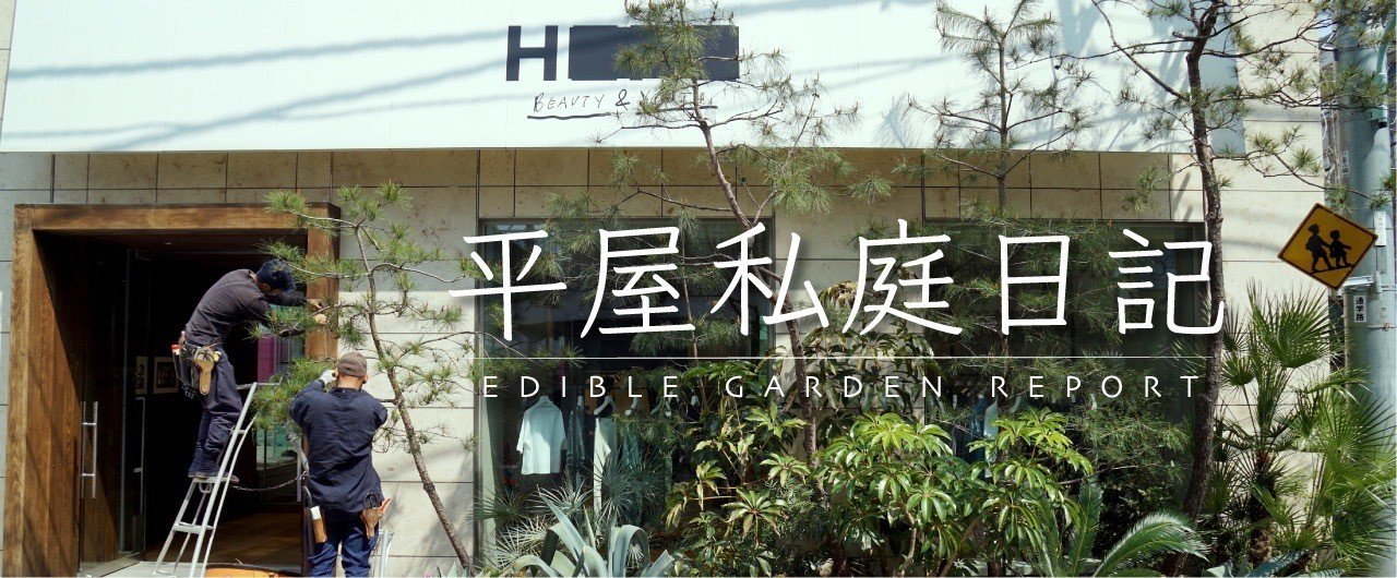 石灯籠の基本モデル|平屋私庭日記#27|ライツ社 石灯籠の基本モデル|平屋私庭日記#27|ライツ社
