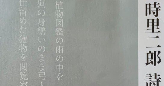 飛手の空、透ける街 思潮社 詩集 現代詩 飛手の空、透ける街 思潮社 詩集 現代詩｜本・雑誌・漫画