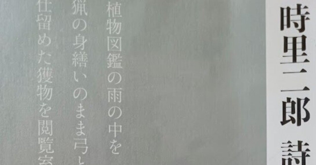 飛手の空、透ける街 思潮社 詩集 現代詩 飛手の空、透ける街 思潮社 詩集 現代詩｜本・雑誌・漫画