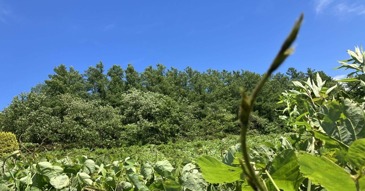 Site image of the bookmark