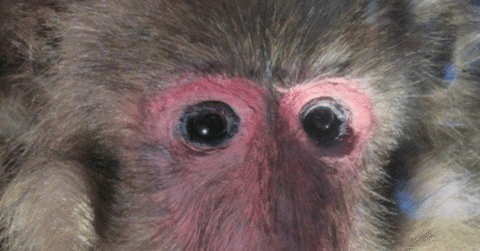 9a9573b67545ccb3a3b0f67f662c9d