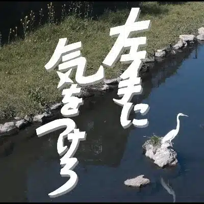 映画『左手に気をつけろ』最新NEWS