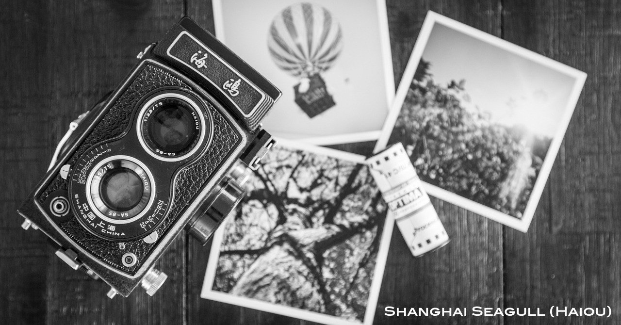 Shanghai Seagull （海鷗 4A-103）｜Ayumi