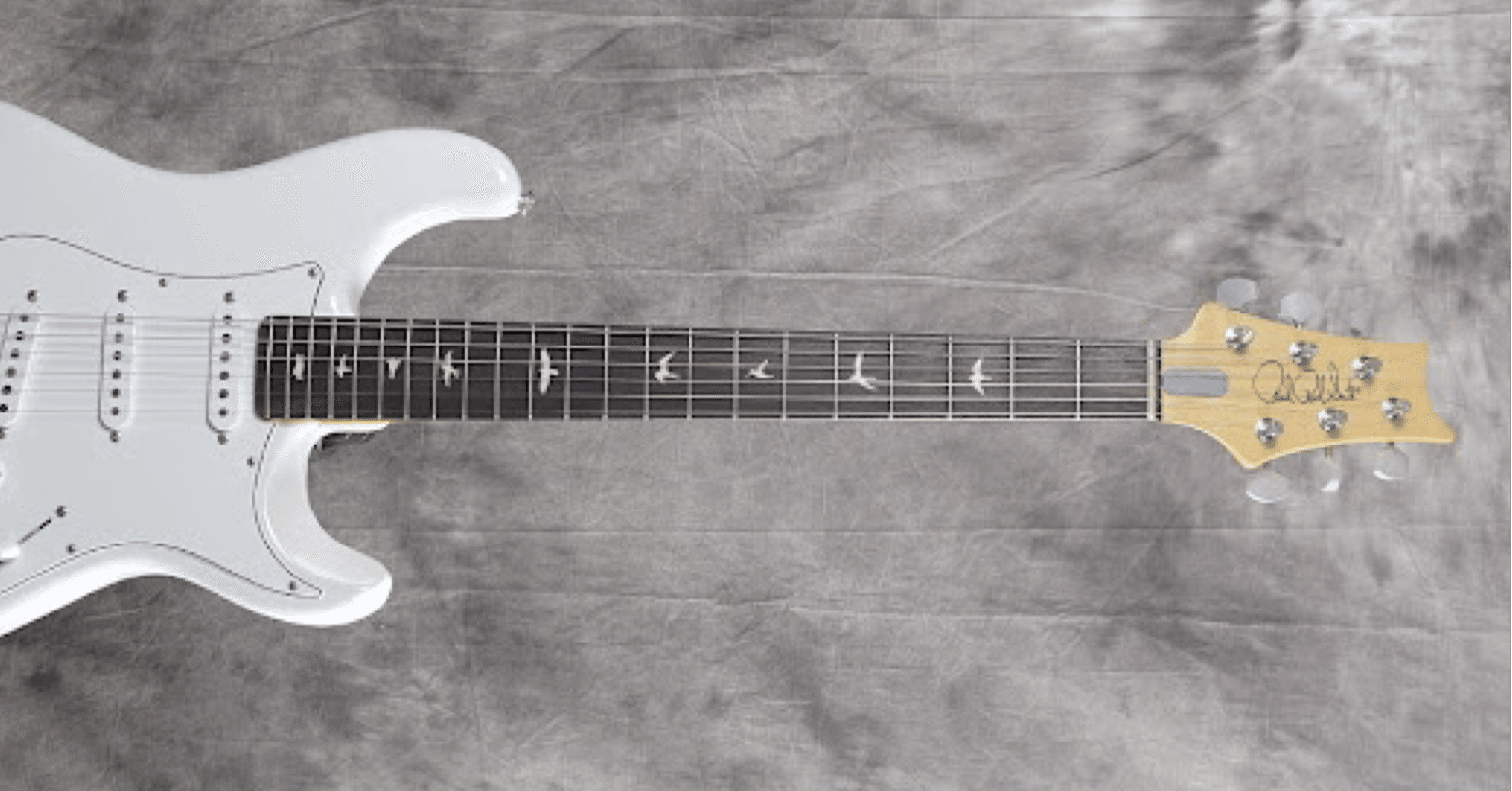 PRS SILVER SKY John Mayer Signature Model Frost #268790｜池上富士夫