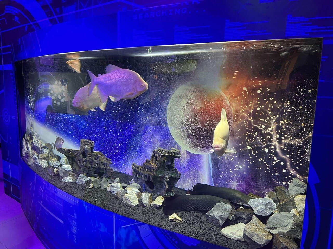 嵐山りらっくまの湯 限定ぶらさげぬいぐるみ（リラックマ