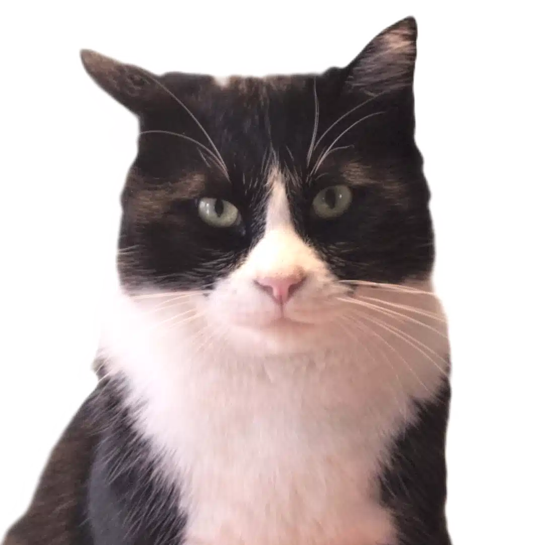 Rabi Sato