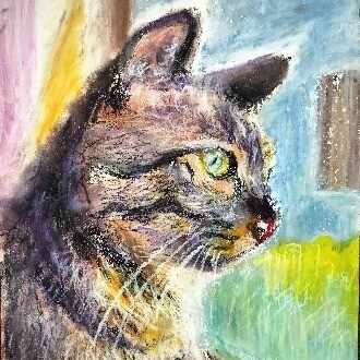 なもたび（名も無き旅人）