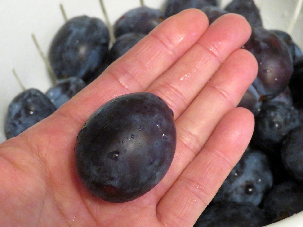 セイヨウスモモ漬け 梅干もどき Eiko Toda Note セイヨウスモモ漬け 梅干もどき Eiko Toda Note