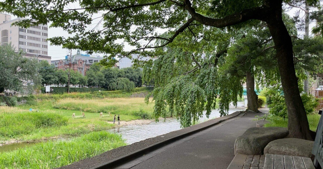 レーベン盛岡紺屋町 「盛岡の川沿いに高層マンションは必要か