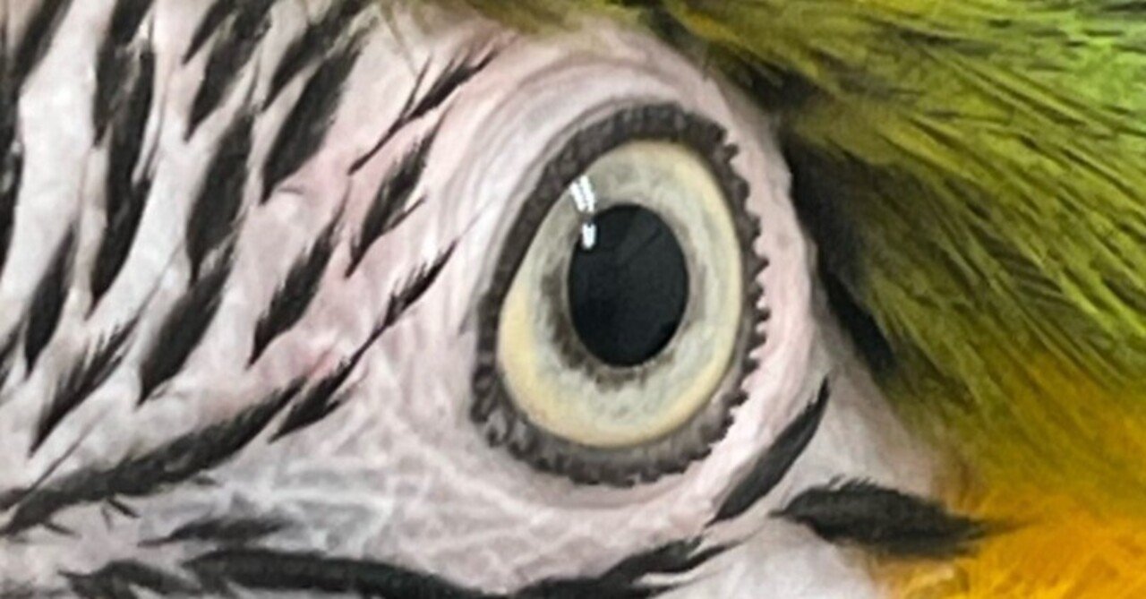 鳥たちの見えている世界｜仙台うみの杜水族館