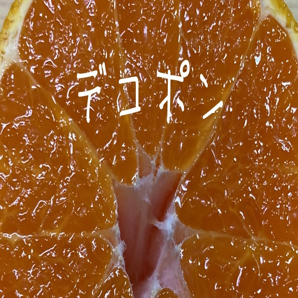 柑橘日記【デコポン】｜樹木医Sakurai