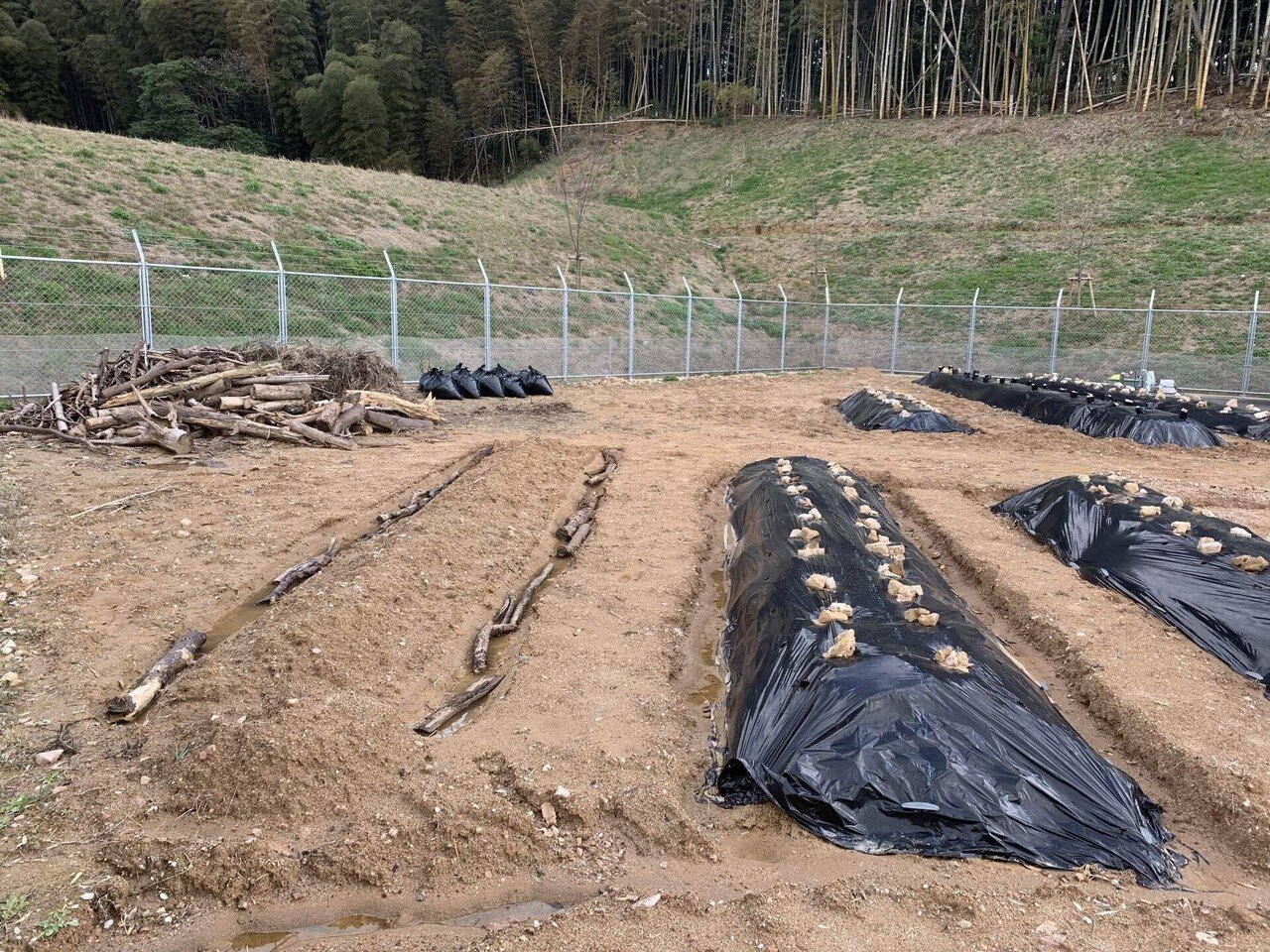 荒地に生命を蘇生する活動『食育菜園シリーズ』#4｜外薗明博｜食養経営