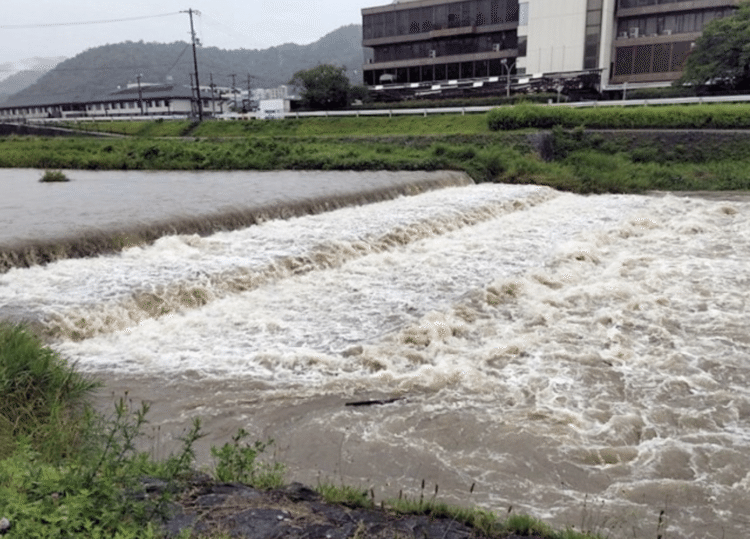 京都鴨川。飛沫をあげて濁流が走る。この前の大雨の時も、水が引いたら、大きなサンショウウオが河岸を悠然と歩いていた。今回は、網をかければ、サンショウウオの他、岩魚や山女が、獲れるのではないか。