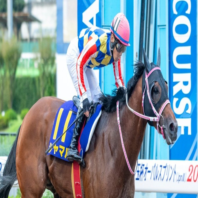 競馬エイト・裏ワザで大儲け 競馬エイト・裏ワザで大儲け (サラ・ブックス) | 岡田 和裕 |本