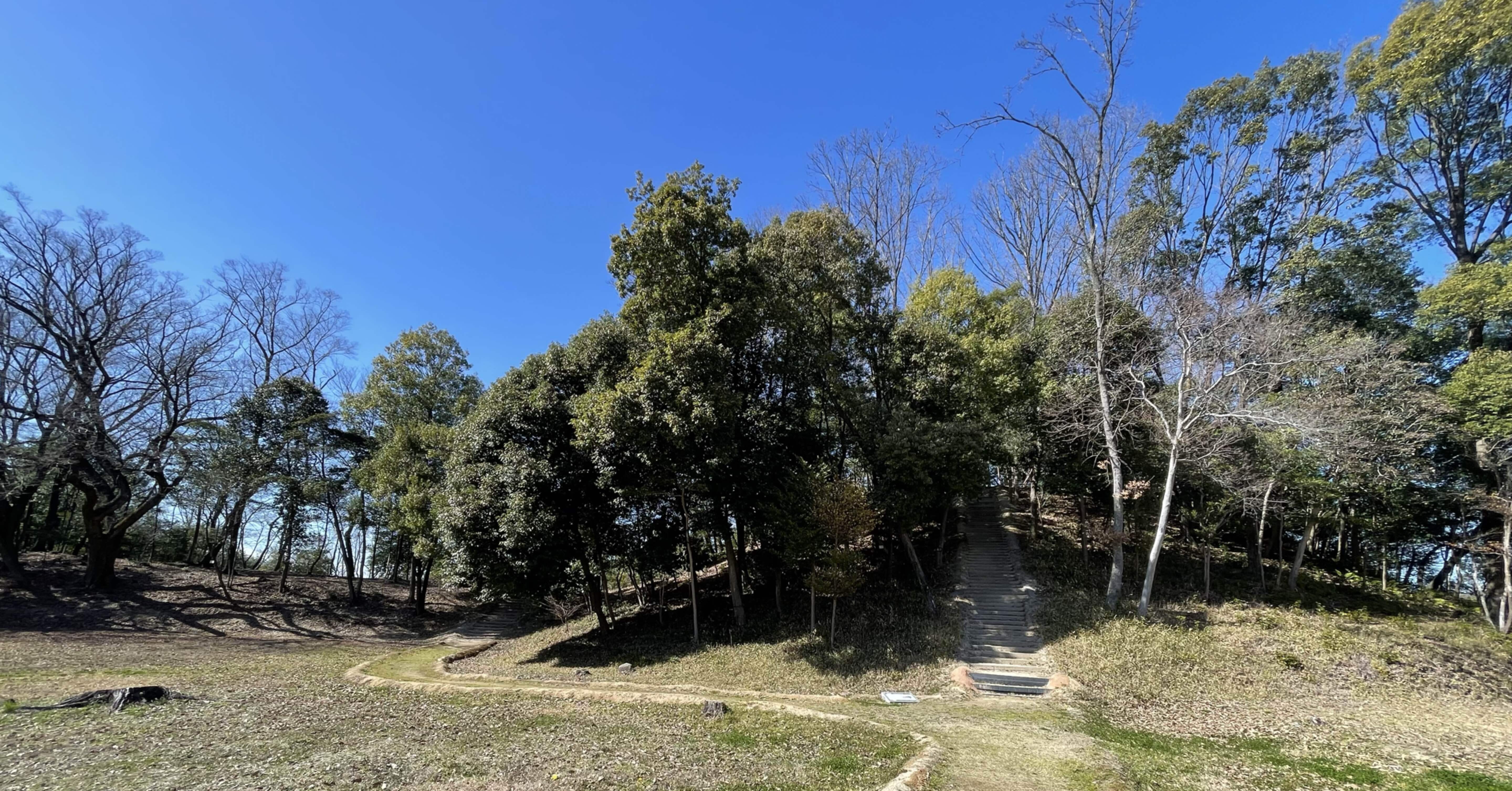 白鳥の伝説 🦢｜hanahanamichi