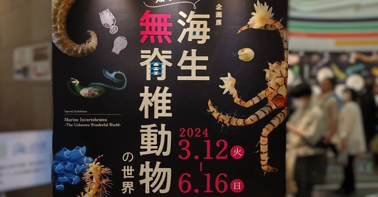【企画展】知られざる海生無脊椎動物の世界|もんばん