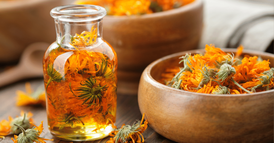 6e2bd52bca09652cab12ee488f916e