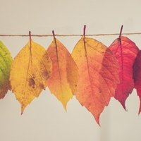 某アニメについてちょっとだけ言いたい ゆゆゆ Note