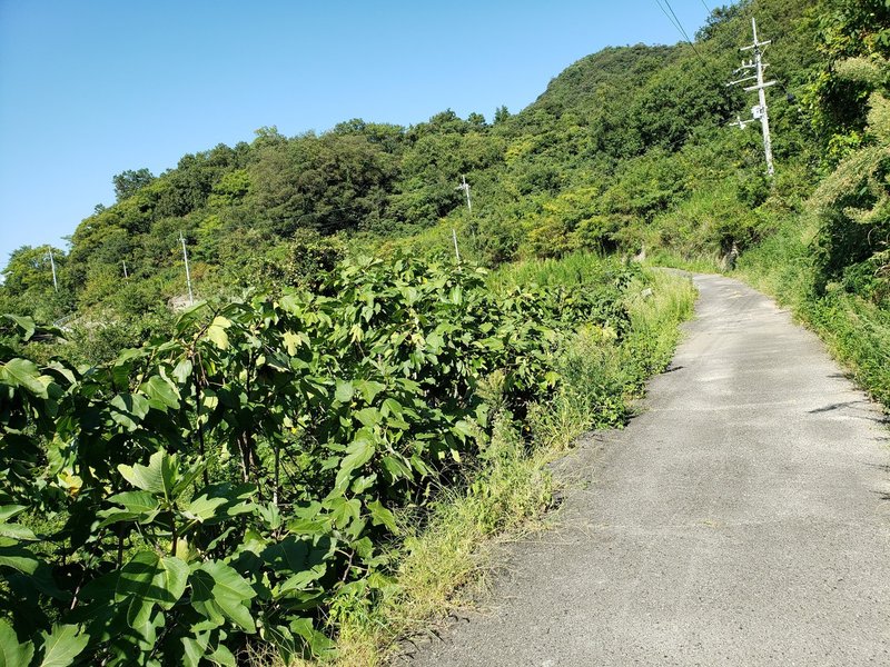 Summerpockets 島巡り 2日目part2 もよ Note Summerpockets 島巡り 2日目part2 もよ Note