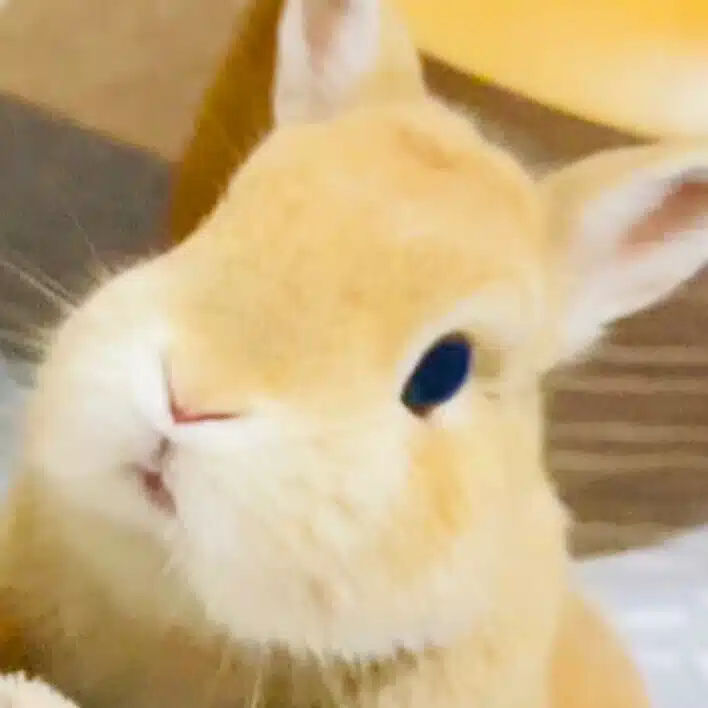 実々子