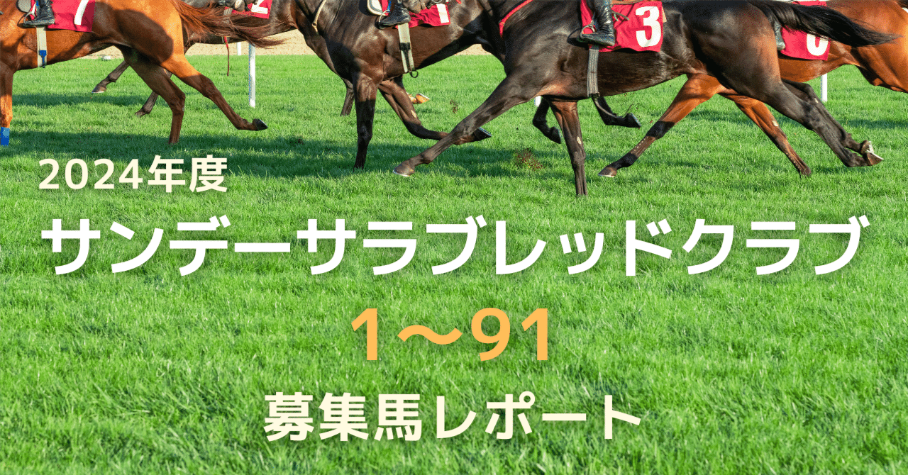 2024年度サンデーサラブレッドクラブ1〜91（全馬） 募集馬