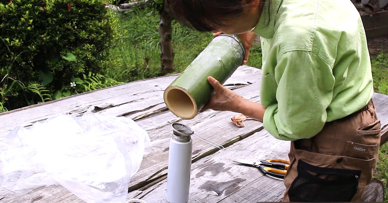 山の竹林整備を兼ねて、竹から水を取る練習💧災害時にも使える竹水-Part1｜山の小リス