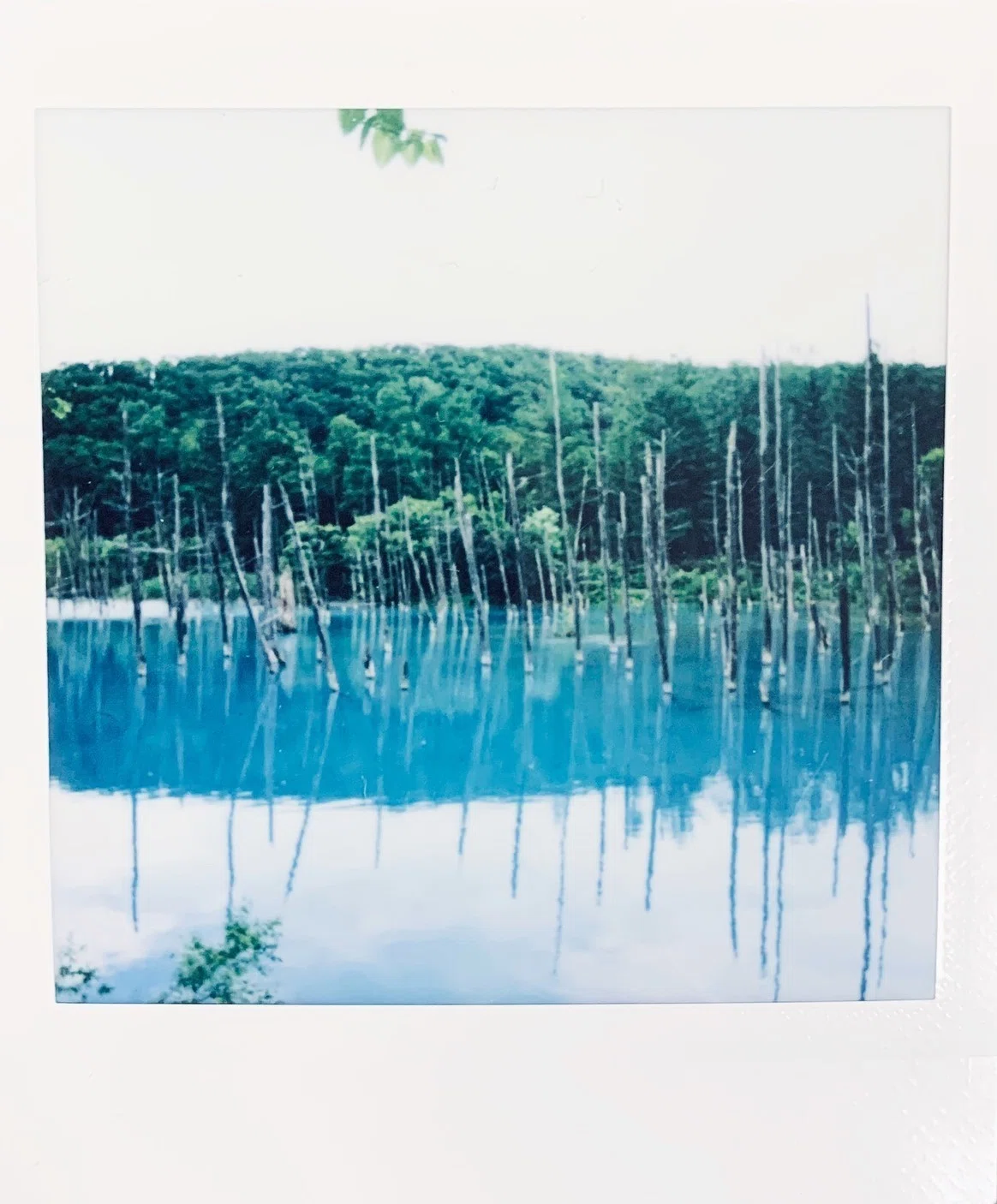画像13
