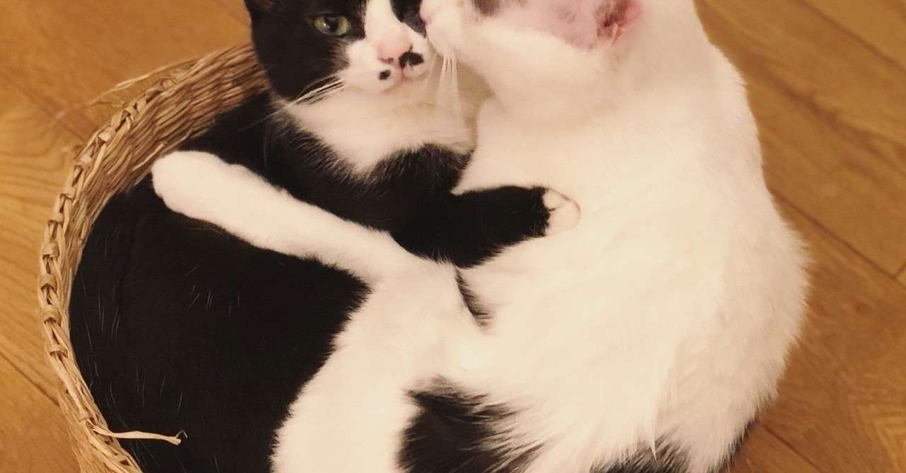 瞼にキスをして Verde Note