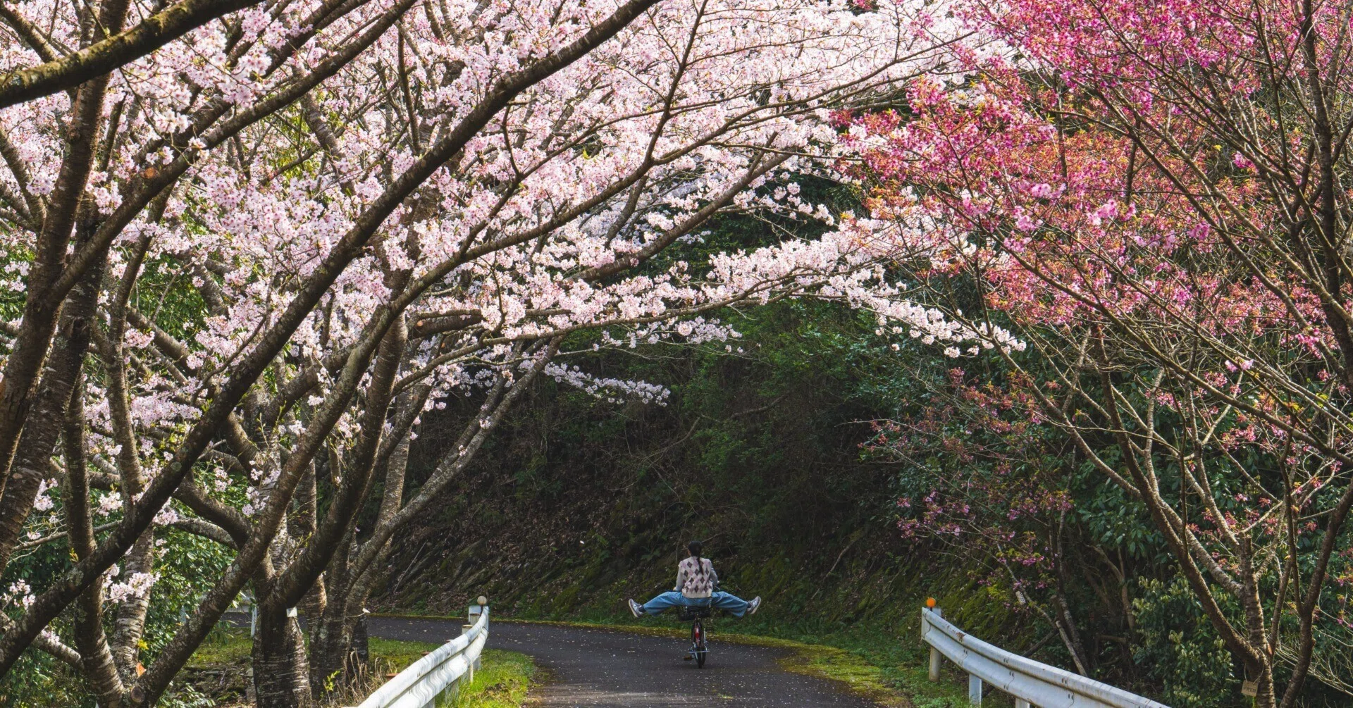 覚悟していたレンズ沼。欲しいカメラレンズまとめ｜ほびマガ