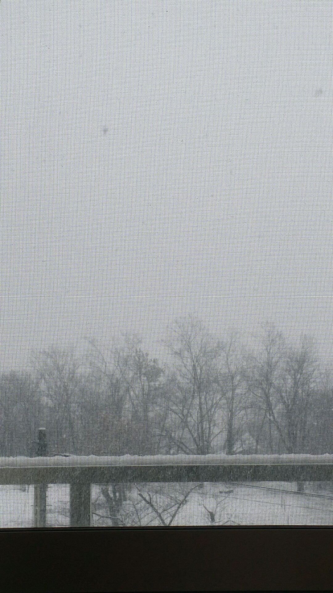 春が来てくれない なにこの雪景色 雨ってゅうのは 9割以上が水分 そしてきゅうりも 9割以上が水分 そぅ これゎもぅ 雨 きゅうりってゅうコト オンジ 呟き多め Note 春が来てくれない なにこの雪景色 雨ってゅうのは 9割以上が水分 そしてきゅうりも 9割以上が水分 そぅ これゎもぅ 雨 きゅうりってゅうコト オンジ 呟き多め Note