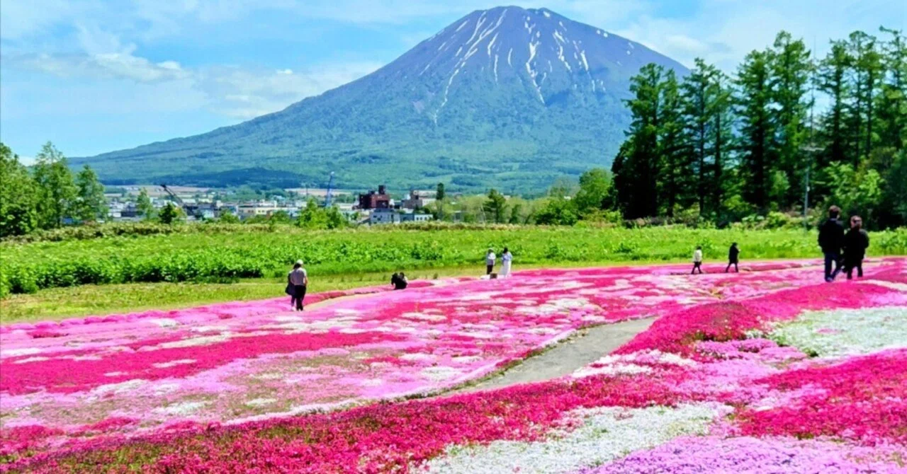 北海道大横断の旅（前編：1-4日目）｜いるか