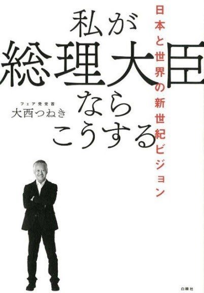 私が総理大臣ならこうする