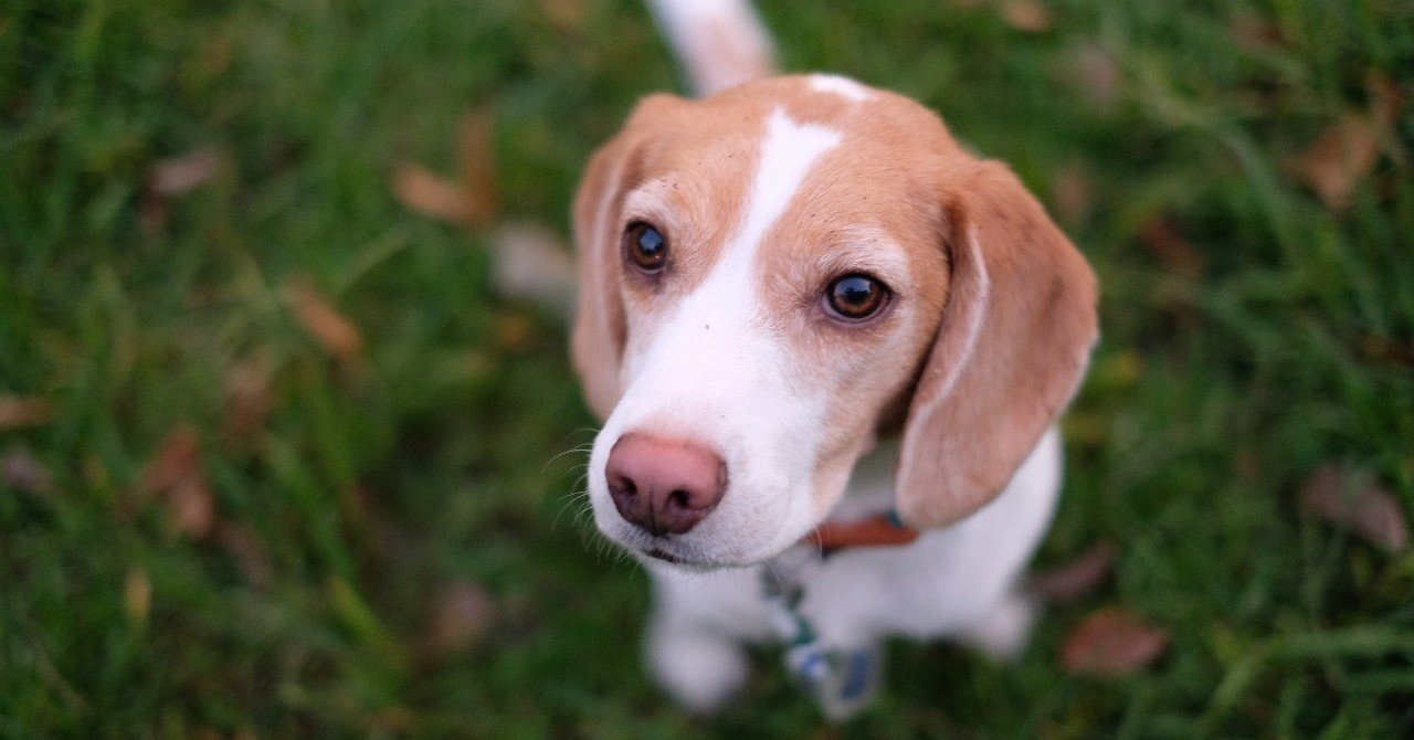 びっくりマークとはてなマーク 古賀史健 Note びっくりマークとはてなマーク 古賀史健 Note