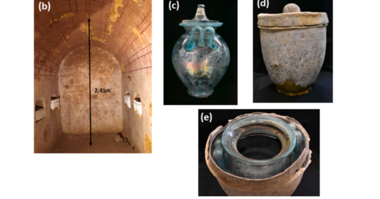スペインで発見された約2000年前の液体、世界最古のワインと判明｜クー 