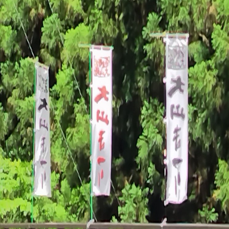 確認画面です　祐子山西 国会見学、県内国会議員訪問、看護職国会議員訪問｜新着情報｜【公式