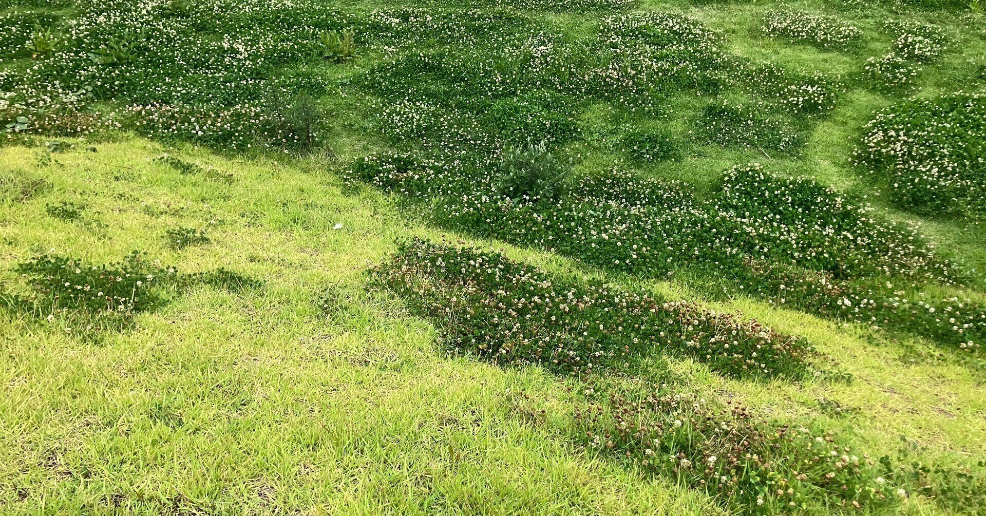 おもちページ おもちページ おもちページ おもちさん確認ページ zx(おもち