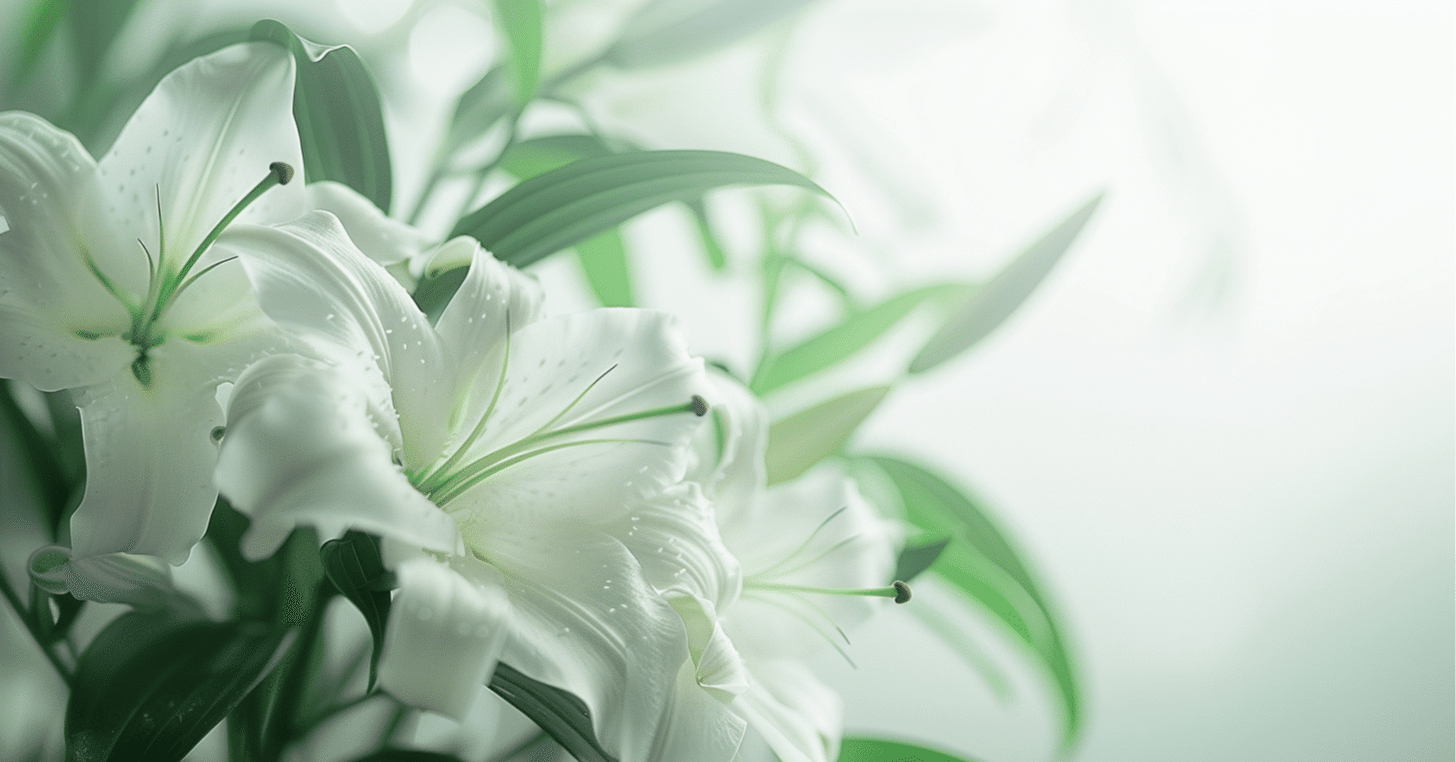 ささやななえ 霊送の島 生霊 Amazon.co.jp: 生霊 (あすかコミックス