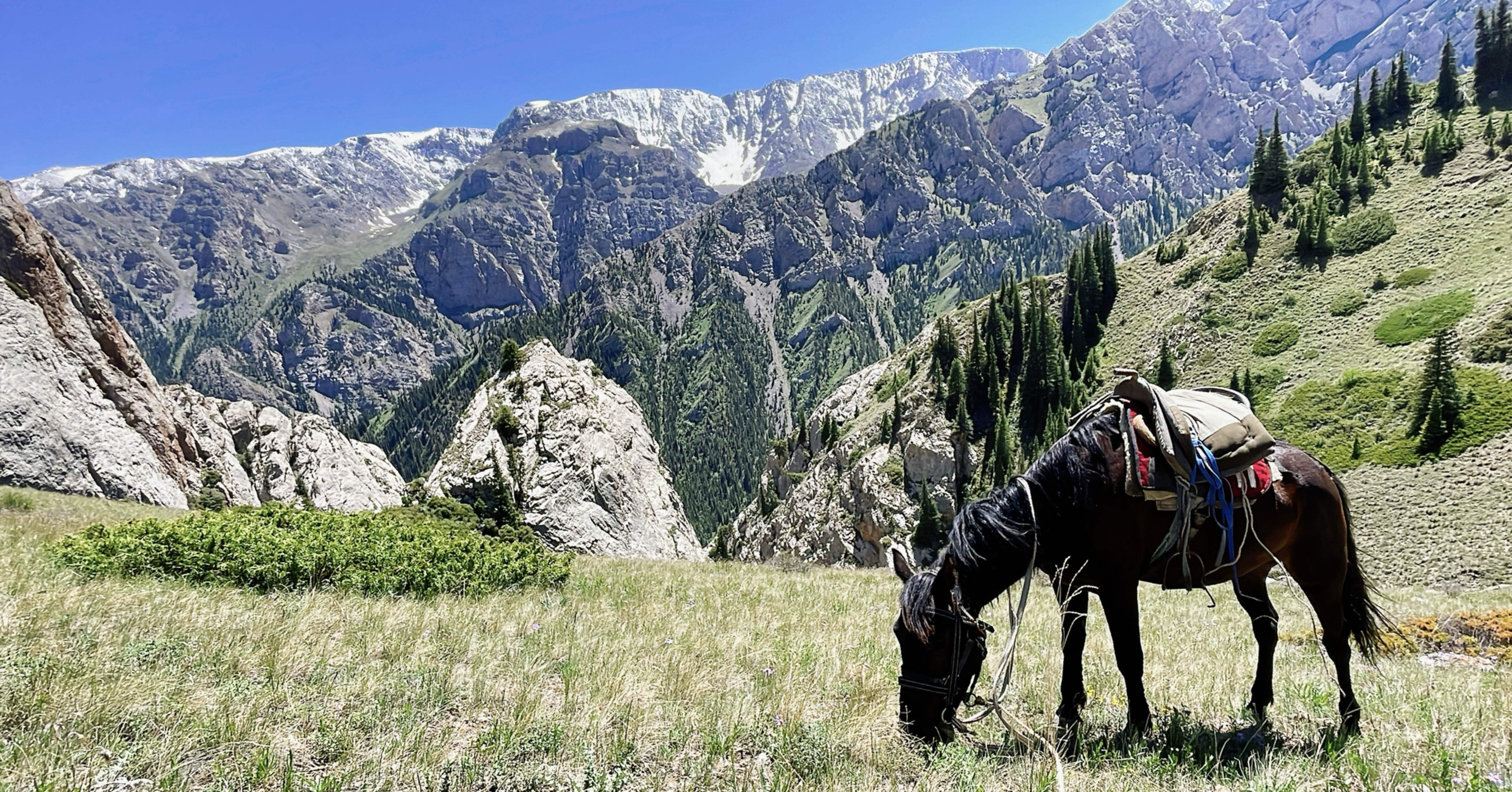 db901e4778135890a51ae9ee75d3c6