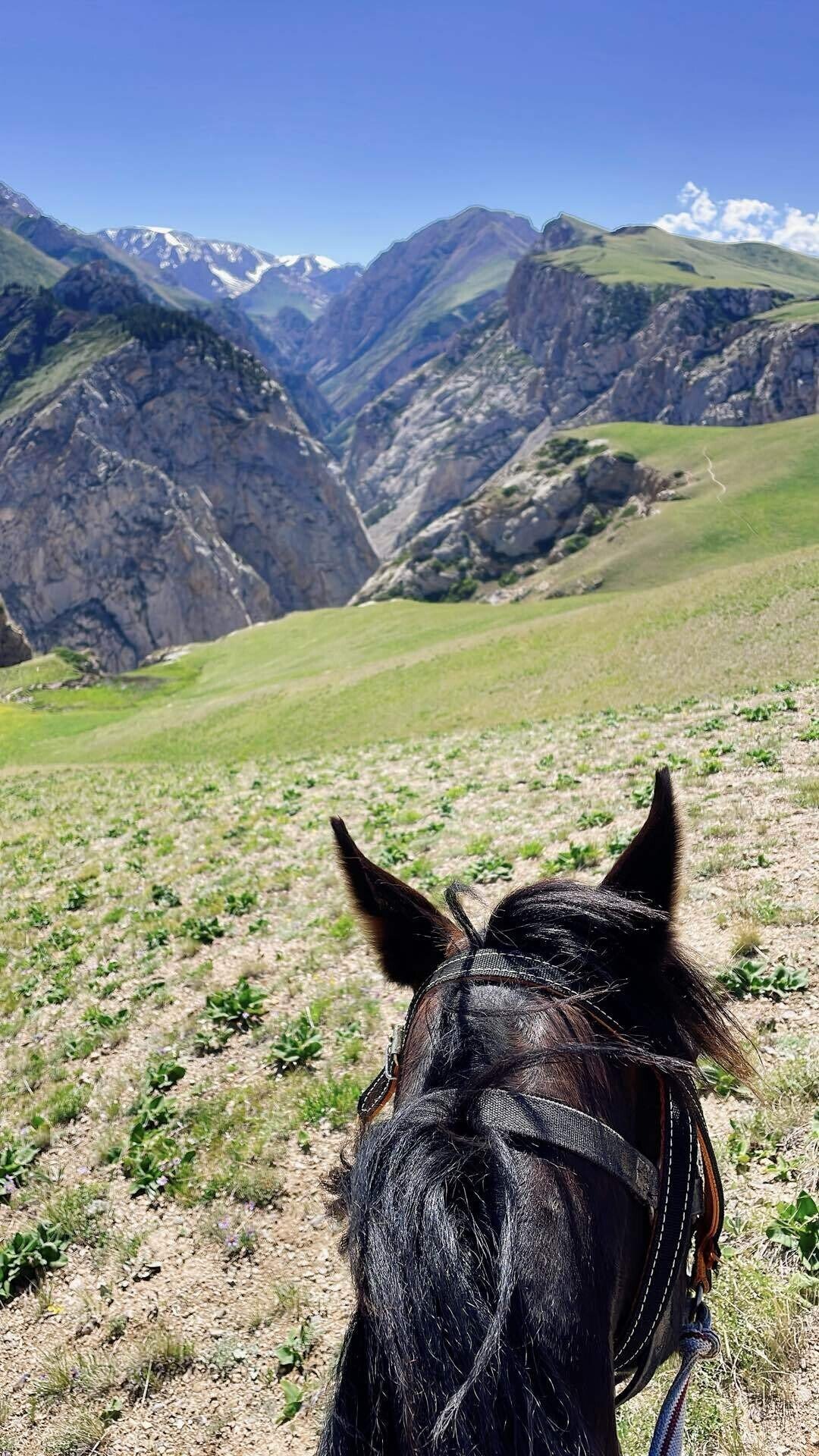 8 キルギス乗馬トライアルツアー3日目｜Nana del Mundo 世界旅