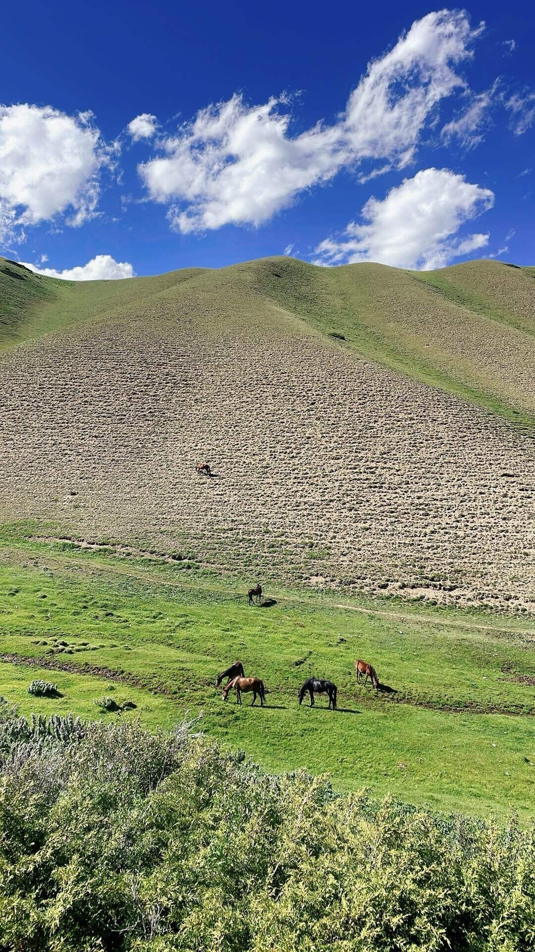 8 キルギス乗馬トライアルツアー3日目｜Nana del Mundo 世界旅