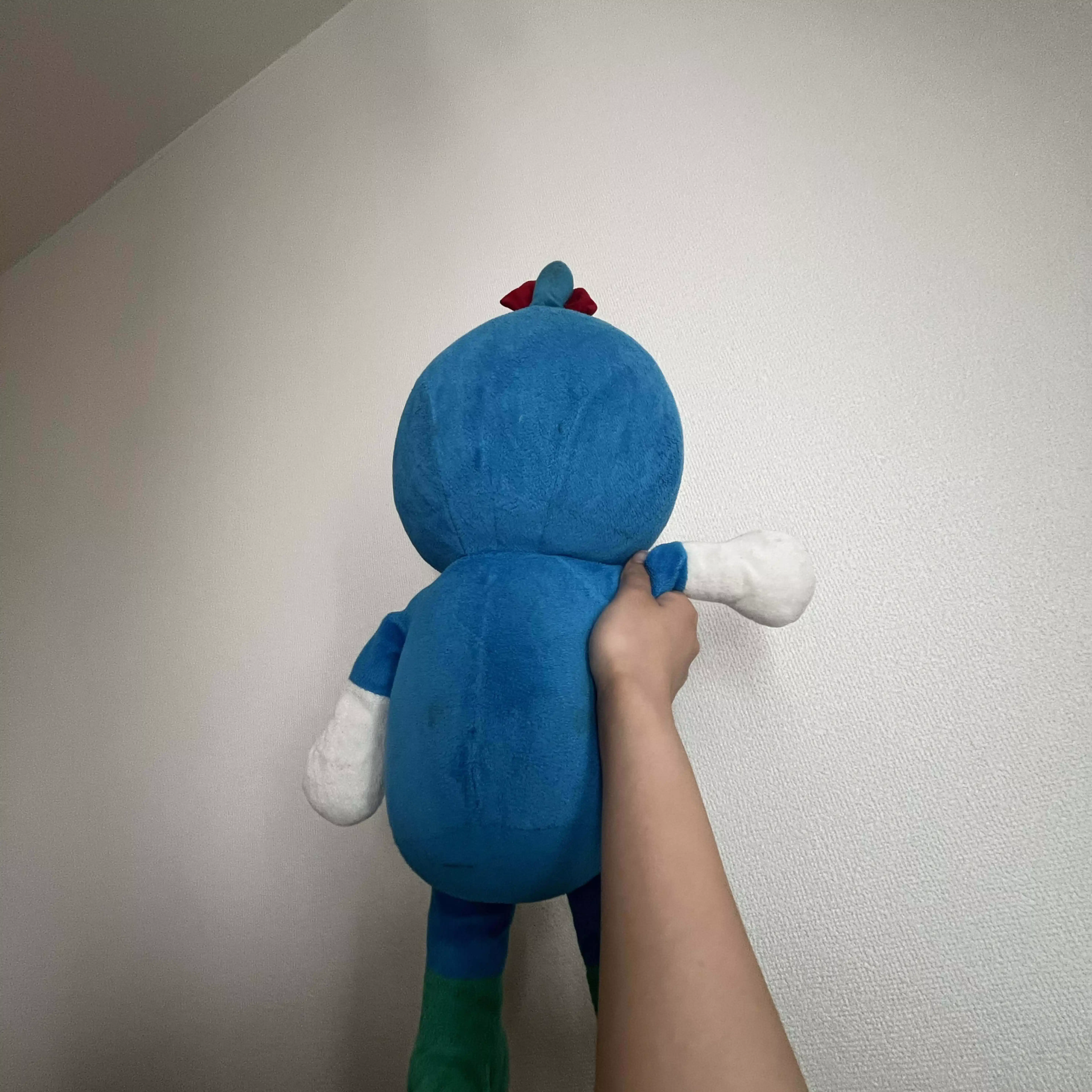 ちゃんこきん